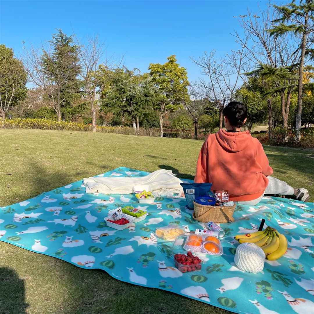 (200CM* 200CM) waterproof moisture-proof and abrasion-resistant, multifunctional outdoor picnic cushion toy mat ground mat