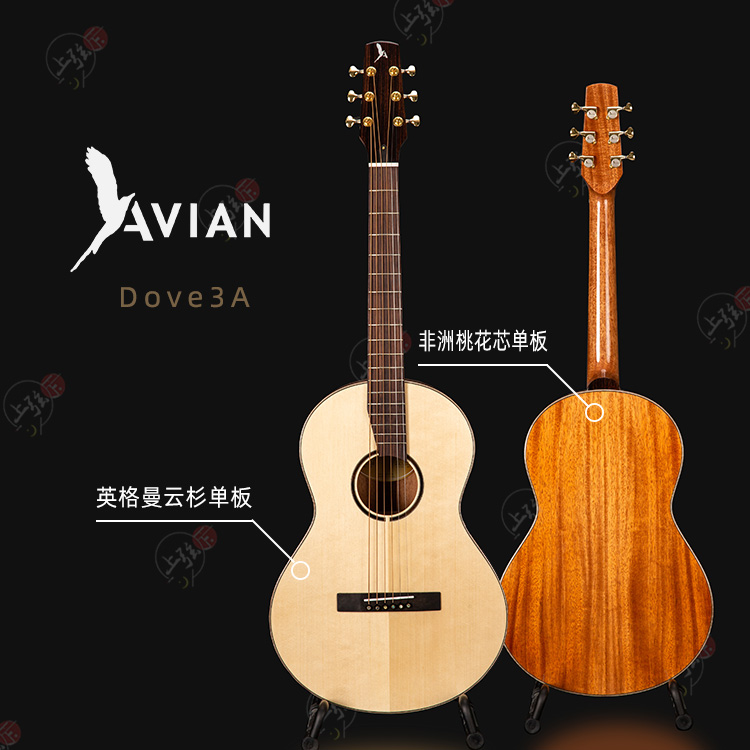 Fanbird Avian handmade travel folk Guitar 38 Inch Pigeon Customize Full Veneer Finger Play