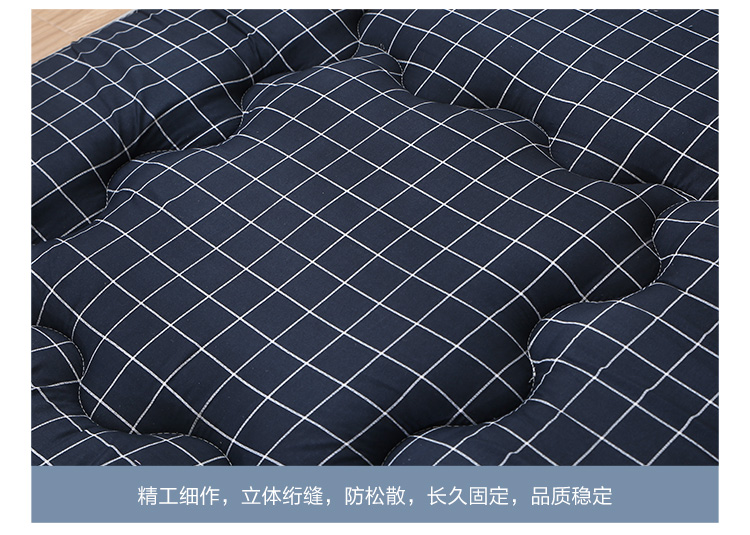 Nệm sinh viên 0.9 Ký túc xá 90cm Pad Nhíp Thảm sàn Độ ẩm Tatami Văn phòng Napping nệm cao su tổng hợp