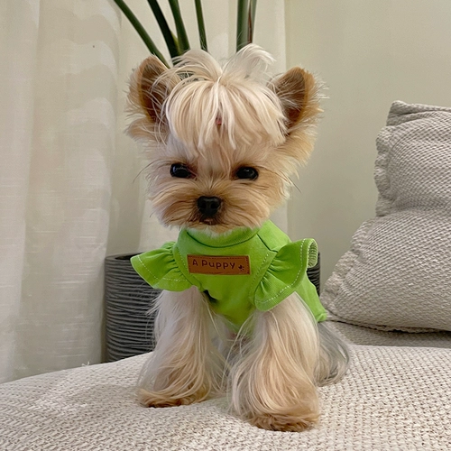 Маленькая сладкая каша кружева, маленький летающий жилет рукав Malzis Yingxia Dog Cath Кошачья одежда с текстурой