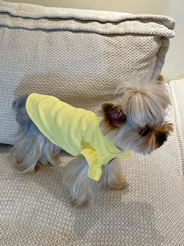 Маленькая сладкая каша Малца Ингсия собака и кошачья домашняя одежда