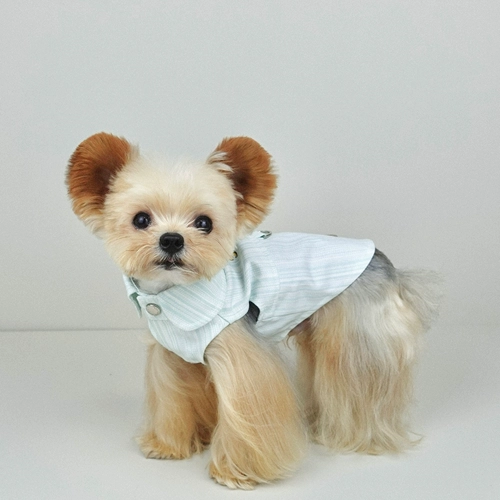 Одежда для домашних животных Little Sweet Porridge, оригинальная осенняя джинсовая рубашка на кнопках, куртка, одежда на ходу, йоркширский мальтийский язык