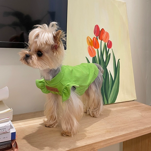 Маленькая сладкая каша кружева, маленький летающий жилет рукав Malzis Yingxia Dog Cath Кошачья одежда с текстурой