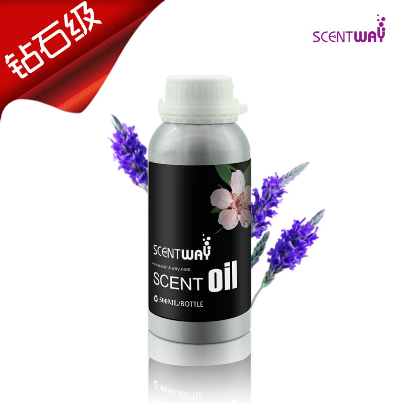 SCENTWAY SENTWAY SENTWAY POLICE OF WELL OUR POWER WASE HOTEL VENTAL REASE HOTEL VIEWEE FOR HOTEL REASE