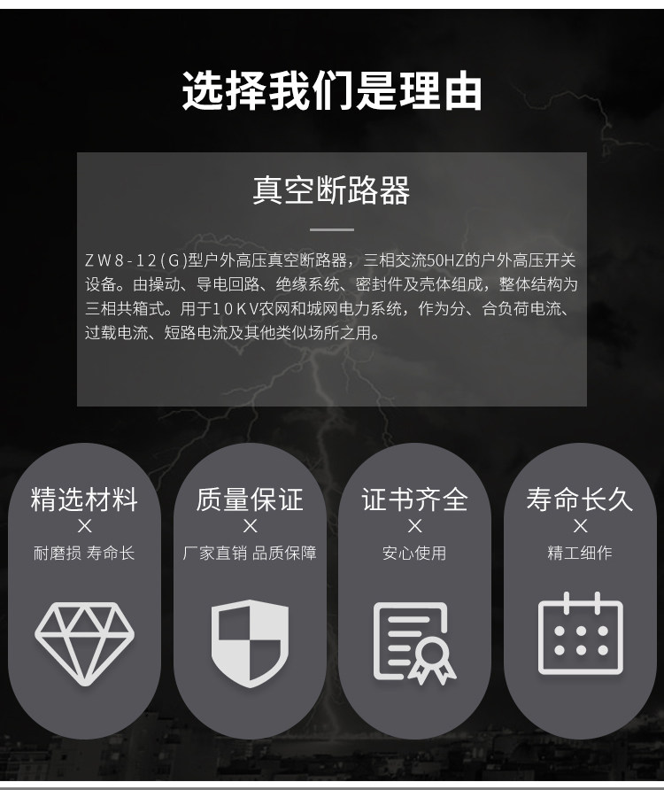 供应辉能电气ZW8-12G户外高压真空断路器柱上开关10KV高压断路器 ZW8-12G,户外高压真空断路器,高压真空断路器,10KV户外高压真空断路器,10KV柱上开关