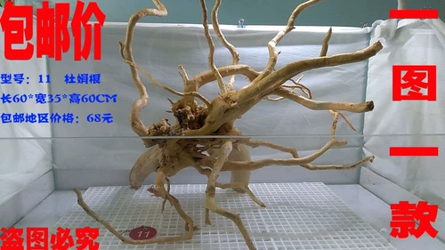 Du Juan корень корня вода трава, тонущая деревянная полоса деревянная ландшафтная ландшафт Таиланд.