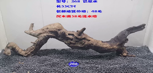 Шенму Киген классы классов Водолей коралловый деревянный деревянный