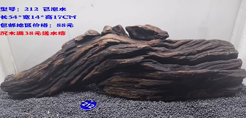 Шенму Киген классы классов Водолей коралловый деревянный деревянный