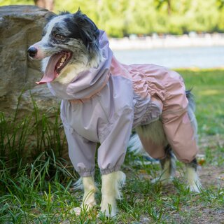 Dog Raincoat, Four-Legged Full-Cover Hooded Jacket for Border Collies, Golden Retrievers, Medium and Large Dogs, Waterproof All-Season Dog Clothing, Rain Poncho