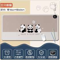 Mat Office Mat Winter Warm Computer Desktop Winter Heated Hand Warmer Heating Desk Mat Mouse Pad Student Extra Large