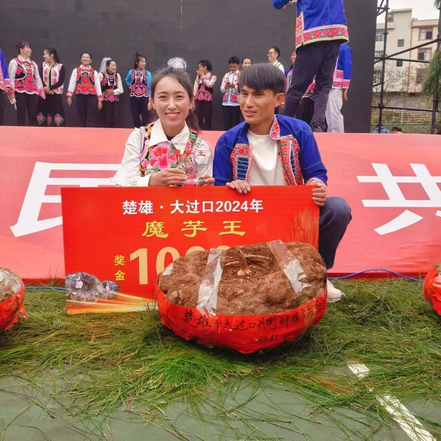 云南楚雄大过口魔芋小王子