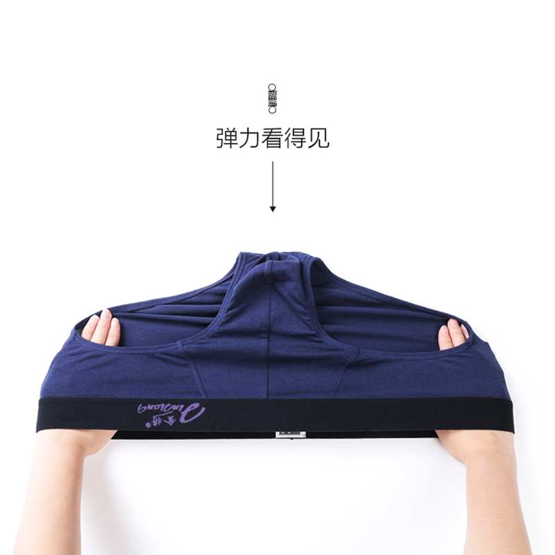 4 tải vàng sẽ thanh niên nam modal đồ lót trung niên eo tam giác tóm tắt cotton thoáng khí nam tóm tắt quan sip nam