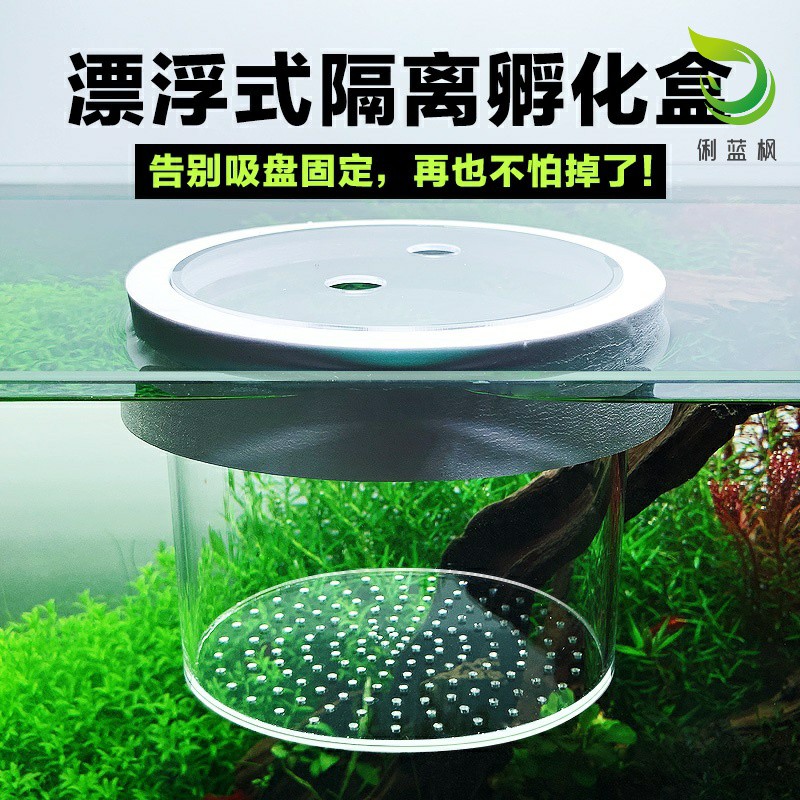 Suspended isolation box acrylic fish tank isolation box breeding box spawner fish egg isolation net three lakes special-shaped