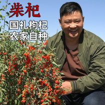 Authentic Qinghai Qidamu red wolfberry dried original ecological 250g wolfberry water-soaked female bulk Ningxia premium wolfberry