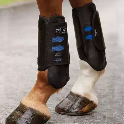 Imported horse leg protection horse leggings obstacle equestrian leg protection front leg eight-foot dragon harness BCL337512