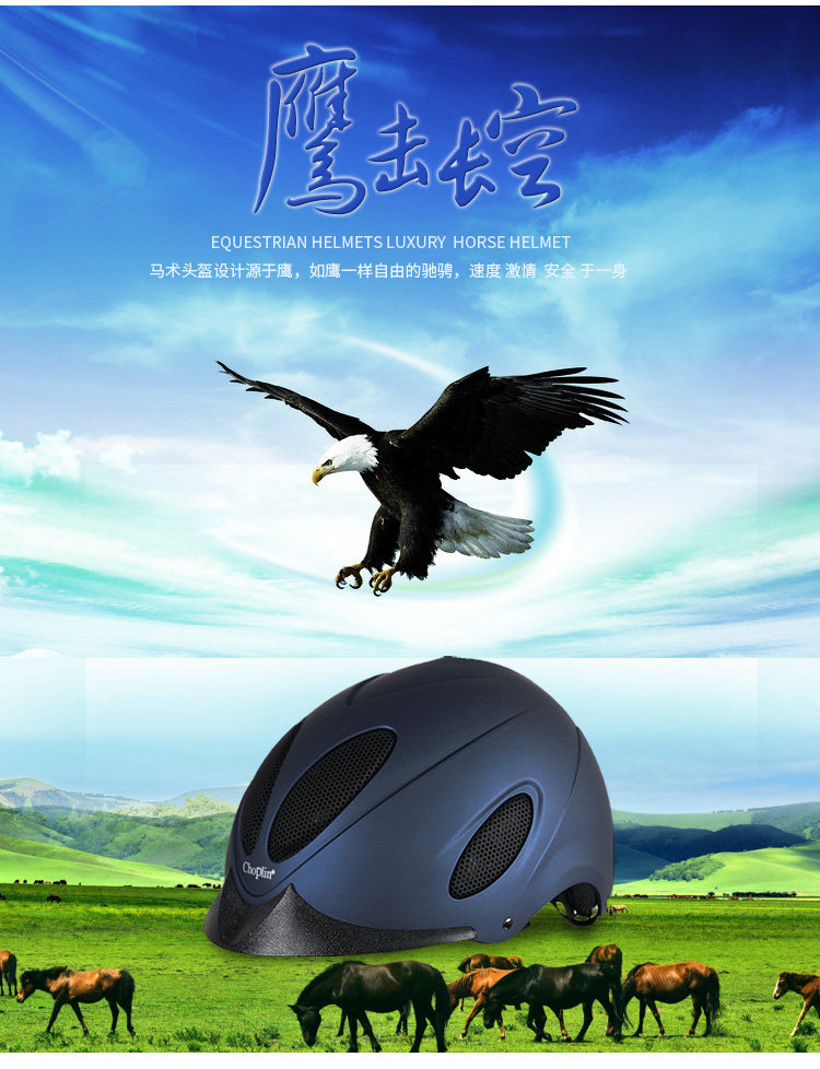 Article équitation - Ref 1381017 Image 16