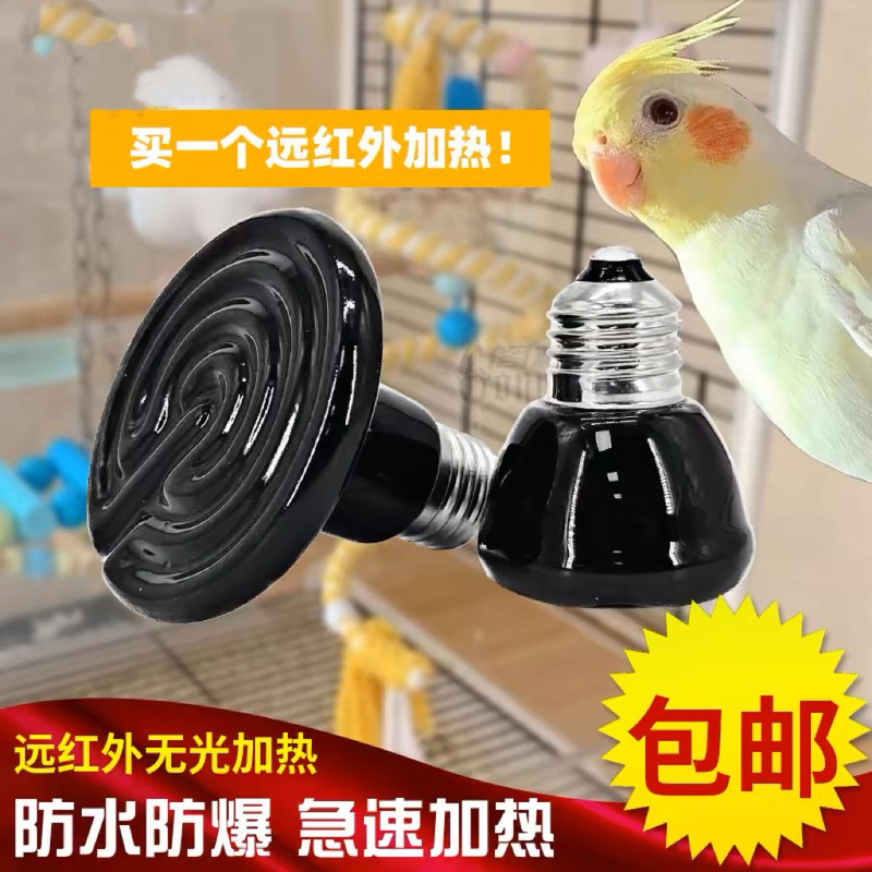 Parrot Ceramic Heating Lamp Reptile Pet Lightless Lamp Tortoise Reptile Land Turtle Lizard Heat Bulb Temperature Control Night Light