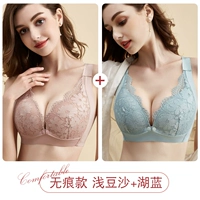 [2 штуки] 2013 г. Мелкая бобовая паста+озеро синий ￥ 88