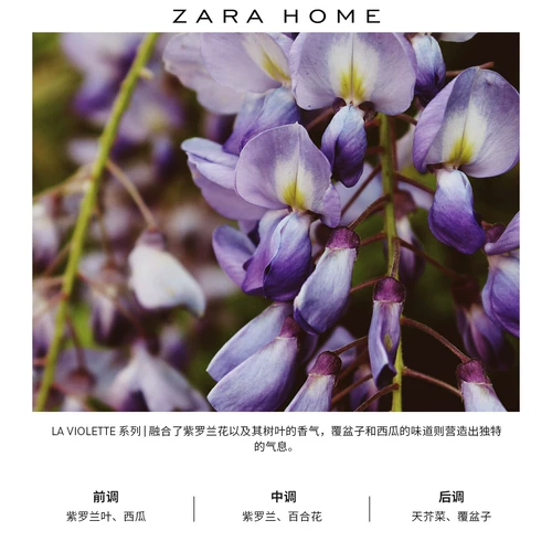Zara Home La Violete Series Fivel Lily Flower Foody Castle 200 мл 41444703612