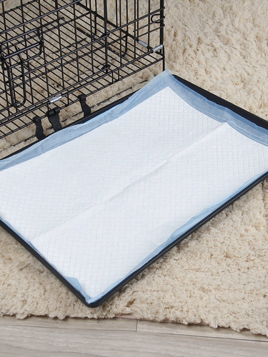 Собачья моча