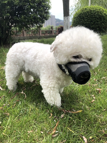 Крышка рта собаки может пить воду, чтобы предотвратить укус и предотвратить ошибочную маску, чтобы отрегулировать небольшую, среднюю, большую, большую кора собаки.