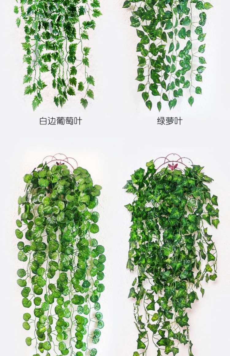 Mô phỏng cây xanh hoa mây treo tường hoa giả lá xanh treo lá phong lan cây trong nhà treo tường trang trí treo tường - Hoa nhân tạo / Cây / Trái cây đào đông đỏ giả