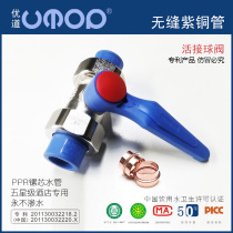 Live ball valve hot melt plastic 4 points home decoration valve ppr6 points 25 water pipe fittings copper household switch connector