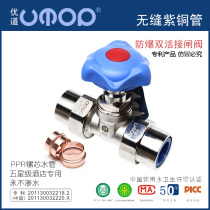 Brass live gate valve hot melt plastic 4 points home decoration valve ppr6 points 25 water pipe fittings copper household joint