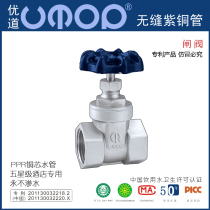 Brass gate valve hot melt plastic 4 points home decoration valve ppr6 points 25 water pipe fittings copper household switch connector