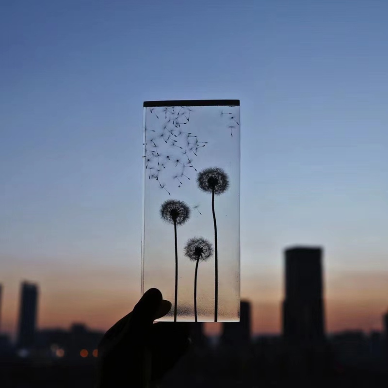Dandelion Eternal Flower Plant Specimen Ornament Decoration Craft Valentine's Day Gift Entryway Home Paperweight