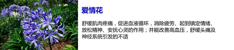 Bougie - Ref 2488440 Image 40