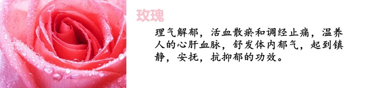 Bougie - Ref 2488440 Image 37