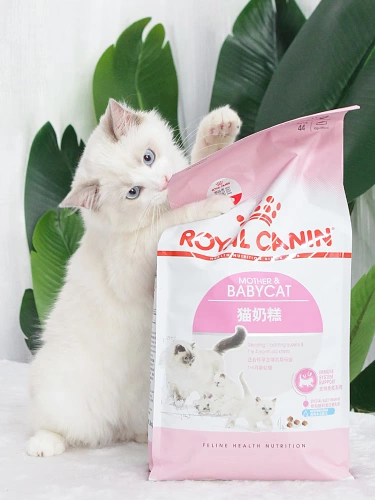 Любовь собака Grasson Batling Cat Fore Cat Food BK34 кошачий молочный торт 2 кг демоли -минный период котенок купоны еды минус 15 юаней