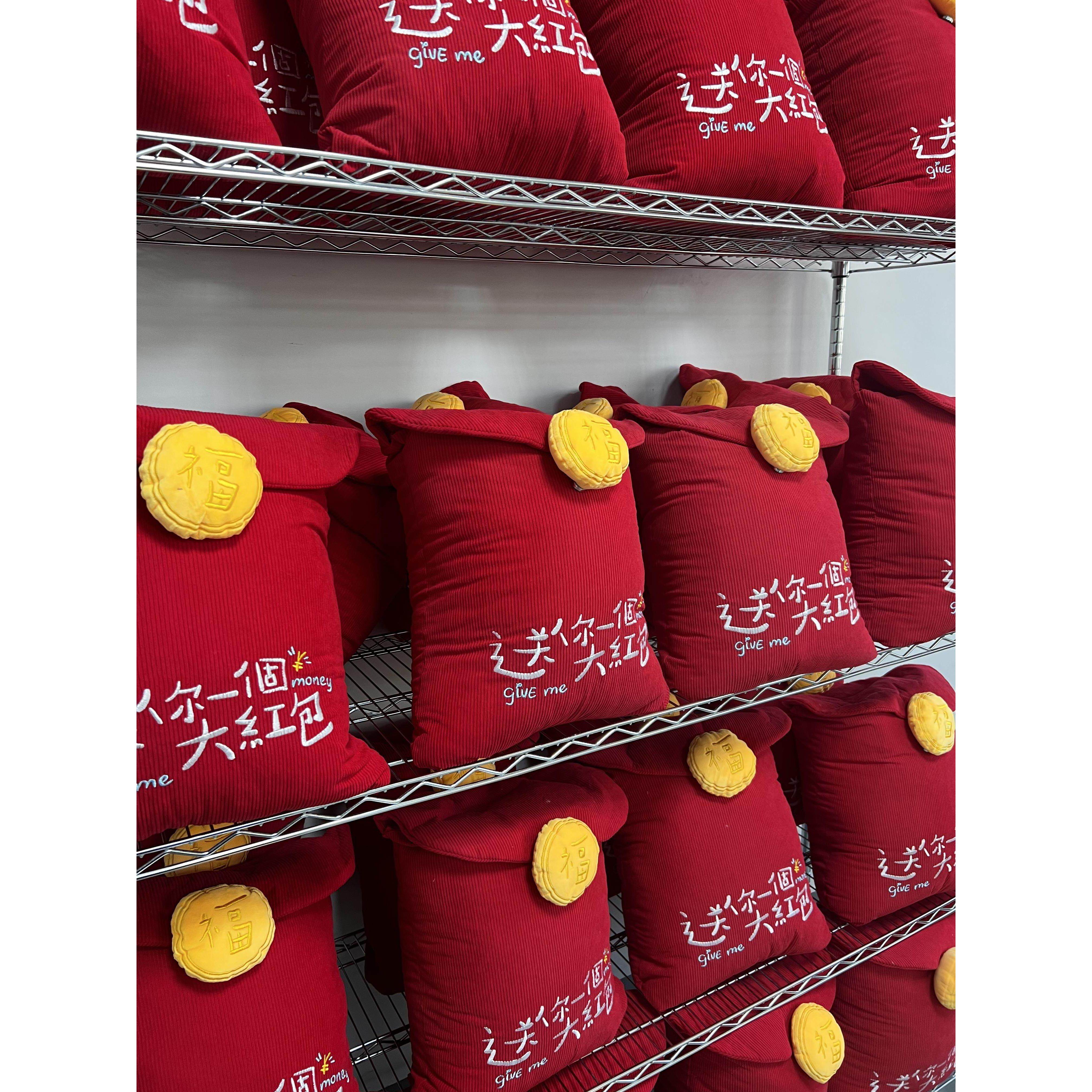小红书爆款送你一个大红包🧧抱枕，2026年新年礼物🎁趋势了解一下？