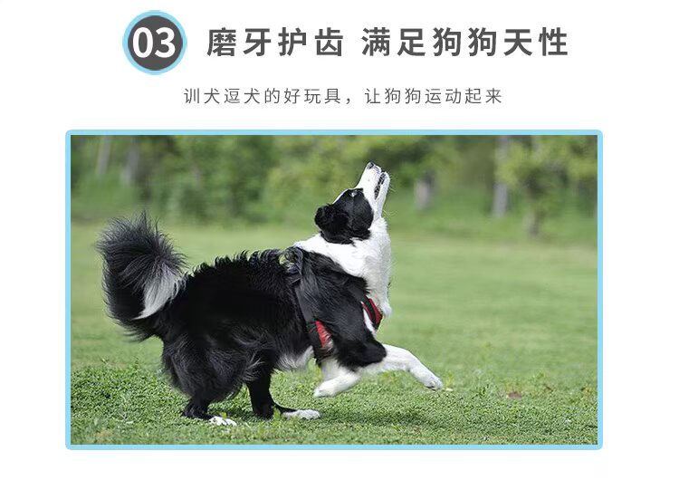 Naf pet dog toy ball vocal mol cắn đào tạo gấu Teddy chó con mèo và chó đồ chơi vật nuôi - Mèo / Chó Đồ chơi đồ huấn luyện chó