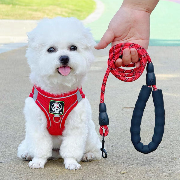 Dog Leash Vest-Style Harness for Puppies and Small Dogs, Bichon, Teddy, Pomeranian, Dog Walking Leash, Puppy Chain