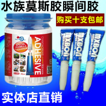 Aquarium moss glue Instant glue Aquarium special moss glue sticky aquatic grass sticky Moss sticky sinking wood special glue