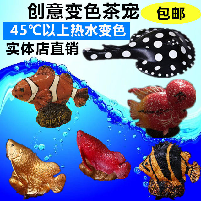 Clownfish Solid gold arowana watering Kung Fu tea pet color change creative ornaments Aquarium craft boutique more than one year
