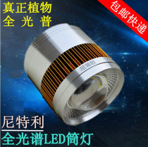 Nittley full spectrum LED hydroponic lamp downlight performance ornamental super lamp plate metal halide