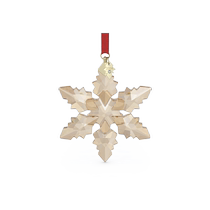 Swarovski ANNUAL EDITION Star Pendant 2024 Decoration Collection