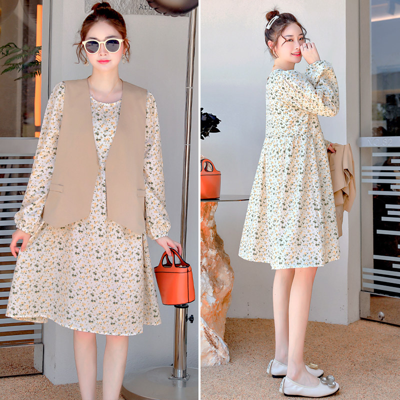 Pregnant Woman Foreign Dress Autumn Clothing Fashion style Suit Foreign Pie minus two sets of Machia skirts to hit bottom spring and autumn gestation maternity dress