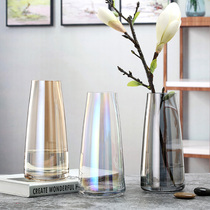 Light luxury creative flower arrangement cone glass vase ornaments small mouth simple smoke gray living room hydroponic table decorations