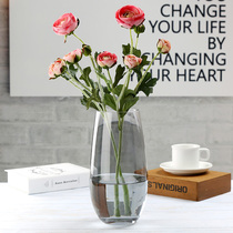 Fresh lily rich bamboo dinosaur egg vase hydroponic large simple glass vase living room household transparent decoration