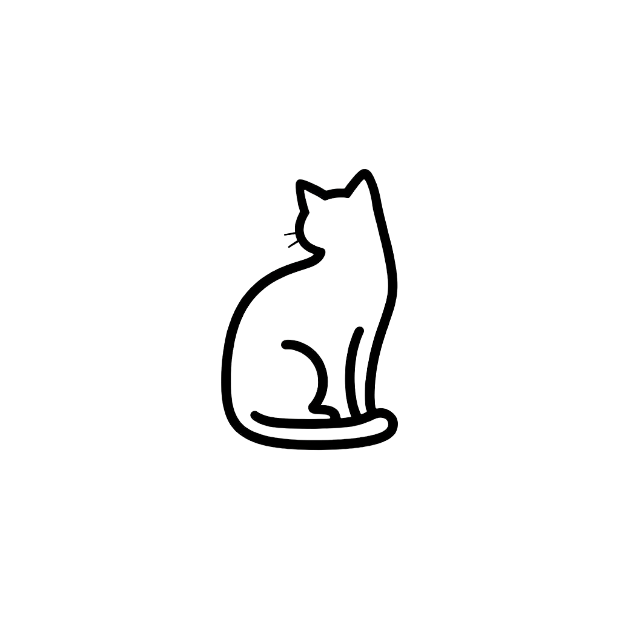 午夜计划