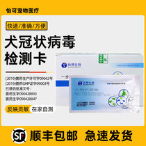 Dog Dog Test Card Quick Test Card for Coronavirus Antigen Test Paper