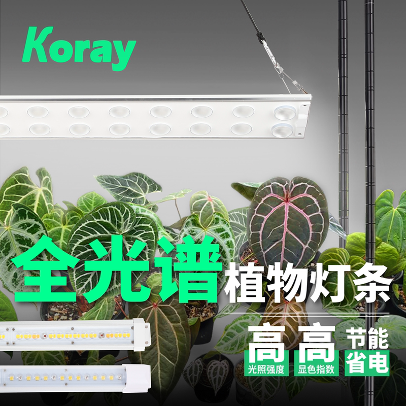Koray Landscape Plant Grow Light, Green Plant Led, Simulates Sunlight, Full Spectrum, Indoor Succulent Growth