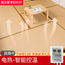 Custom electric heating tatami mat Custom Japanese tread rice mattress custom winter and summer dual-use collapse rice Kang pad