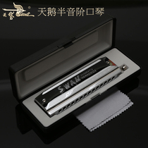 Swan chromatic harmonica 10-hole 12-hole 14-hole 16-hole adult beginner self-taught professional musical instrument