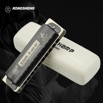  Kongsheng ten-hole harmonica Blues blues musical instrument student children adult beginners professional play 10-hole harmonica