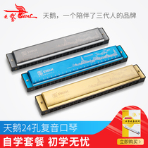 Swan harmonica S6 beginners adult self-study children 24 holes Polyphonic C tune students professional monophonic organ instruments